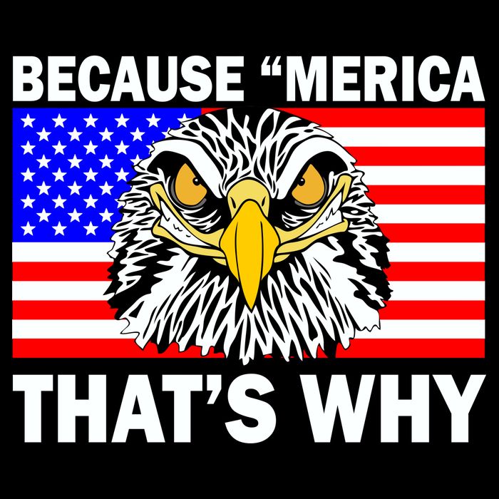 Because 'Merica That's Why! Eagle Womens Tank Top