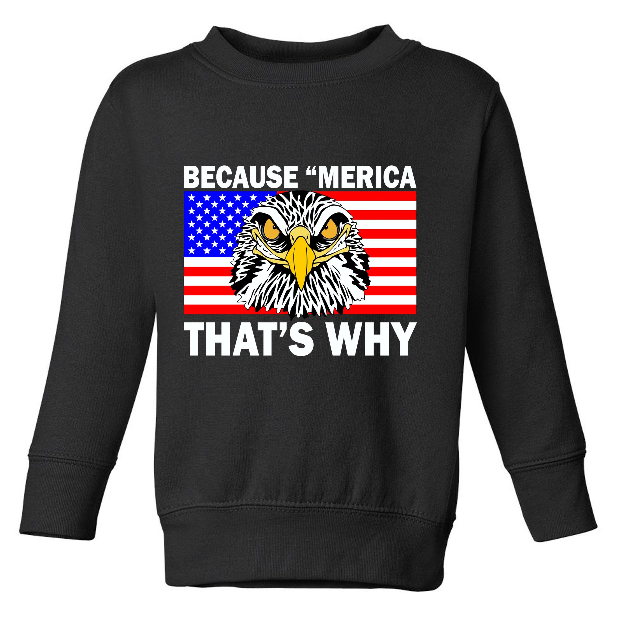 Because 'Merica That's Why! Eagle Toddler Sweatshirt