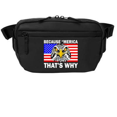 Because 'Merica That's Why! Eagle Crossbody Pack