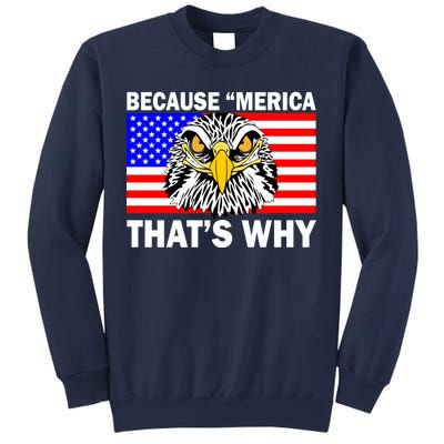 Because 'Merica That's Why! Eagle Sweatshirt