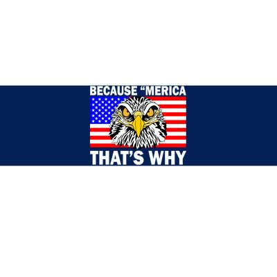 Because 'Merica That's Why! Eagle Bumper Sticker