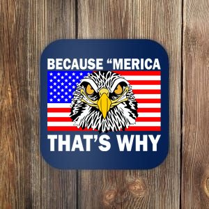 Because 'Merica That's Why! Eagle Coaster