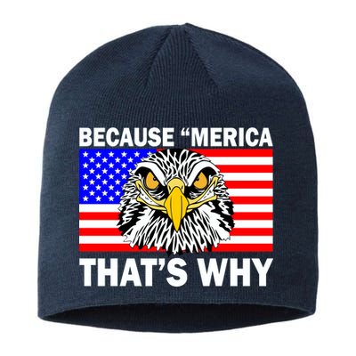 Because 'Merica That's Why! Eagle Sustainable Beanie