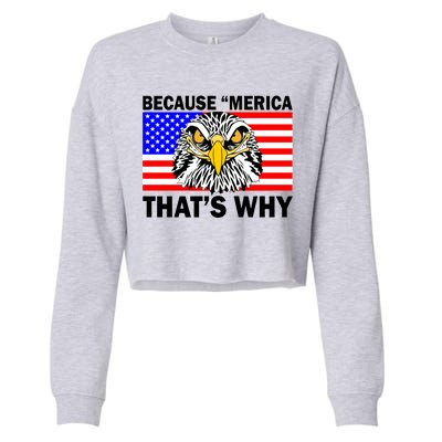 Because 'Merica That's Why! Eagle Cropped Pullover Crew