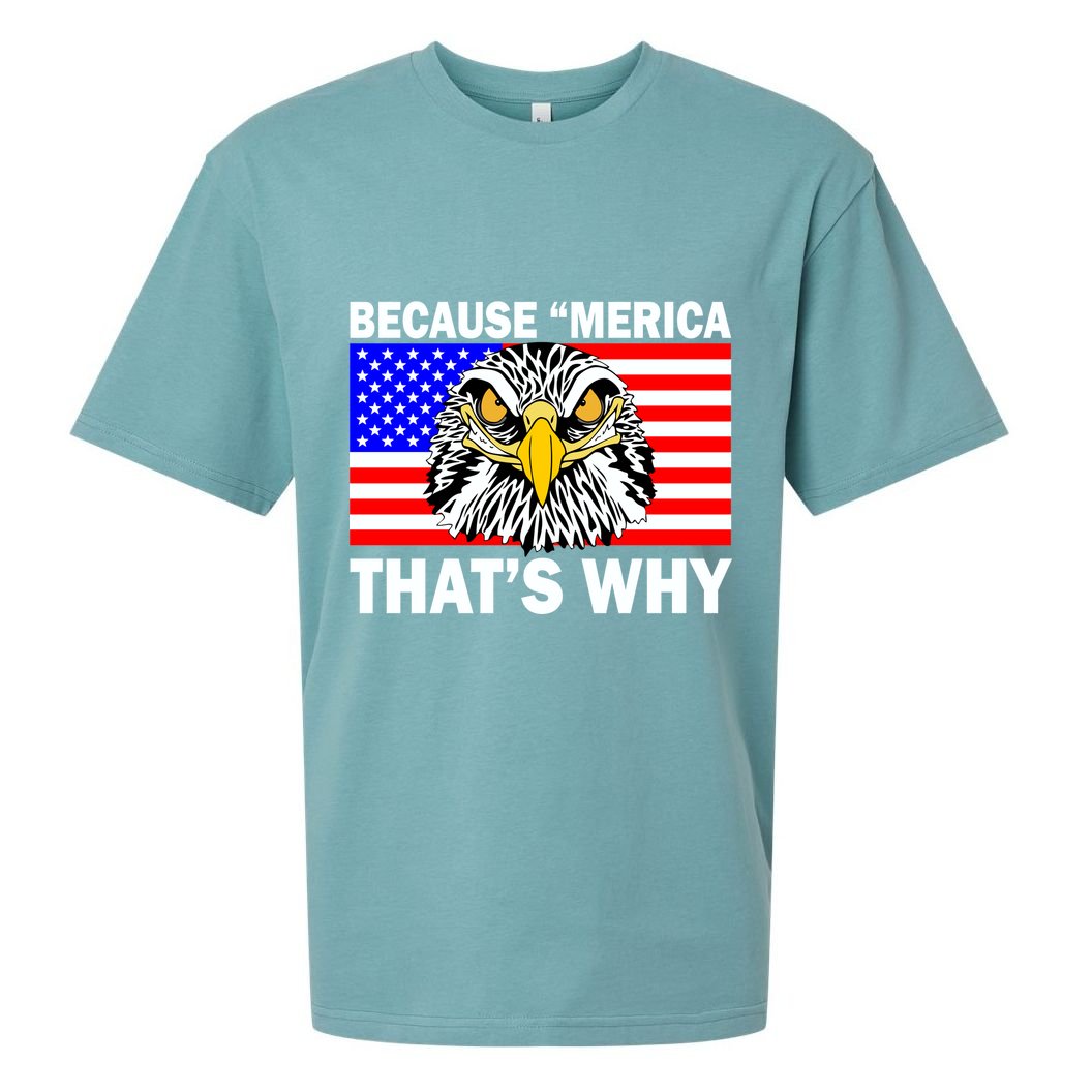 Because 'Merica That's Why! Eagle Sueded Cloud Jersey T-Shirt
