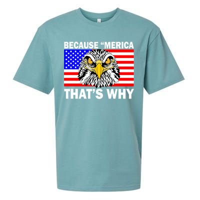 Because 'Merica That's Why! Eagle Sueded Cloud Jersey T-Shirt