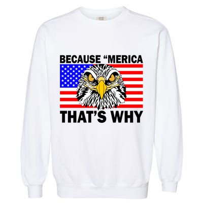 Because 'Merica That's Why! Eagle Garment-Dyed Sweatshirt