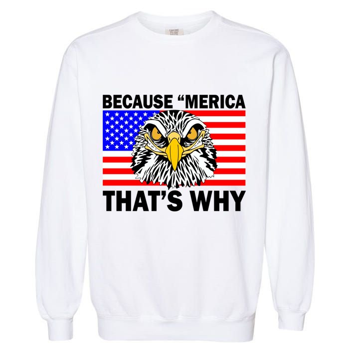 Because 'Merica That's Why! Eagle Garment-Dyed Sweatshirt