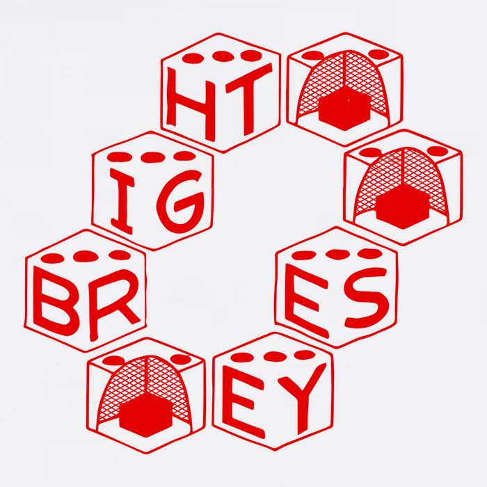 Bright Eyes Dice Logo Flat Bill Trucker Hat