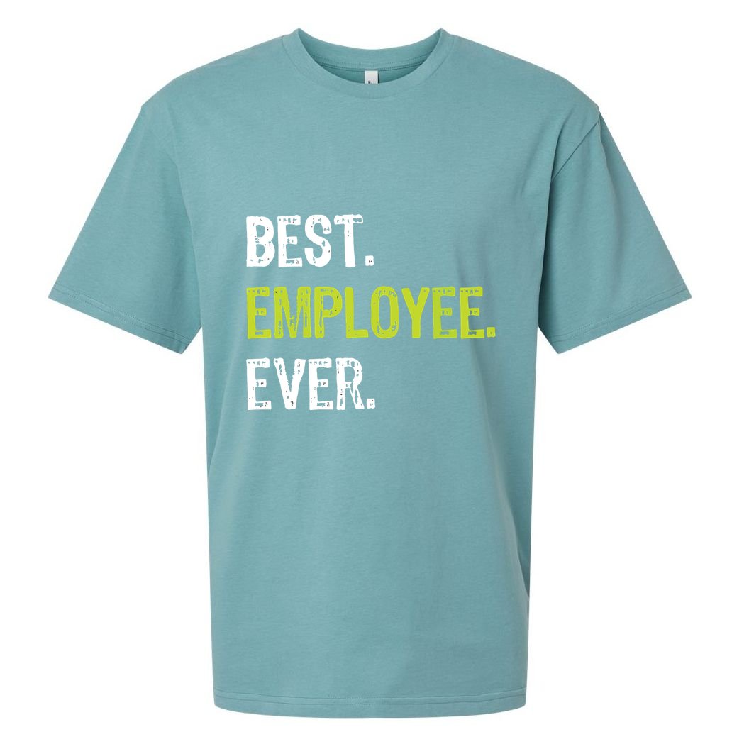 Best Employee Ever Employee Of The Month Sueded Cloud Jersey T-Shirt