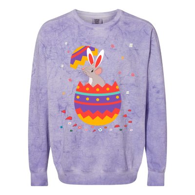 Bunny Ears Eggs Costume Cute Easter Day Graphic Rat Great Gift Colorblast Crewneck Sweatshirt