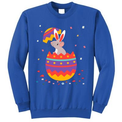 Bunny Ears Eggs Costume Cute Easter Day Graphic Rat Great Gift Sweatshirt