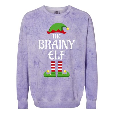 Brainy Elf Family Matching Group Christmas Smart Colorblast Crewneck Sweatshirt