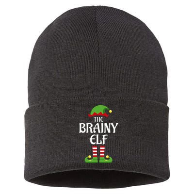 Brainy Elf Family Matching Group Christmas Smart Sustainable Knit Beanie