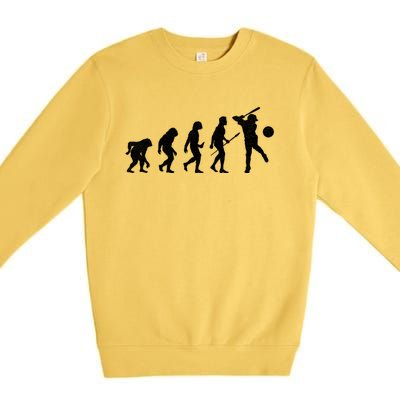 Baseball Evolution Funny Sport Humor Gift Premium Crewneck Sweatshirt