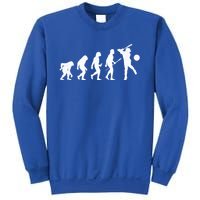 Baseball Evolution Funny Sport Humor Gift Sweatshirt