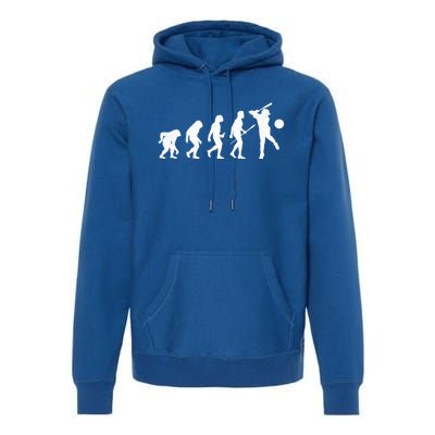 Baseball Evolution Funny Sport Humor Gift Premium Hoodie