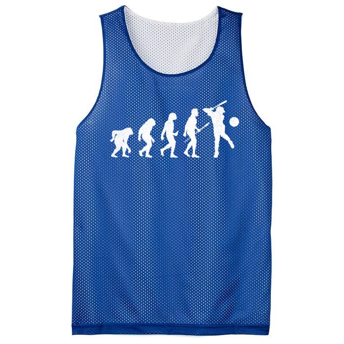 Baseball Evolution Funny Sport Humor Gift Mesh Reversible Basketball Jersey Tank