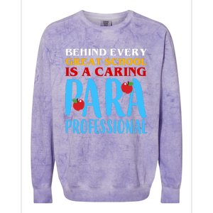 Behind Every Great School Is A Caring Para Professional Gift For Teacher Colorblast Crewneck Sweatshirt