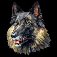 Belgian Tervuren Backpack