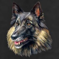 Belgian Tervuren 11oz C Handle Ceramic Mug