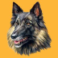 Belgian Tervuren T-Shirt