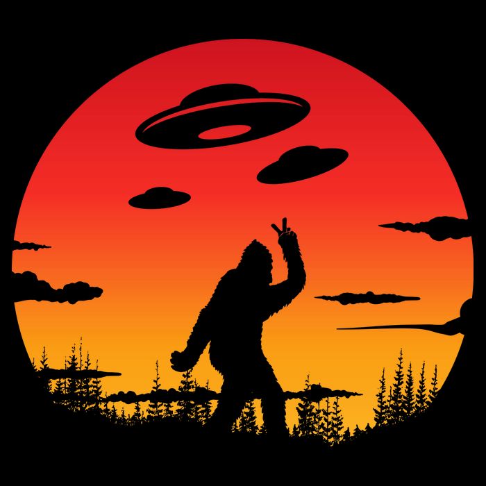Believe Bigfoot UFO Kids Colorblock Raglan Jersey