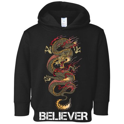 Believer Of Dragons Toddler Hoodie