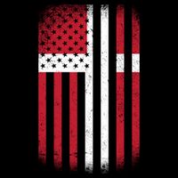 Vintage Denmark Flag Tall T-Shirt