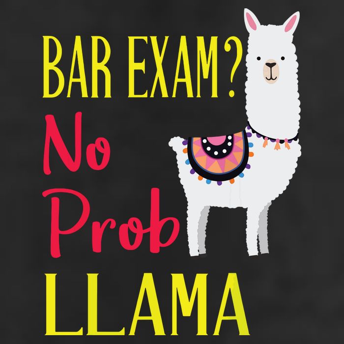 Bar Exam Passing The Passed No Prob Llama Lawyer Law Gift Adult Drive Performance Visor