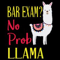 Bar Exam Passing The Passed No Prob Llama Lawyer Law Gift 16 in Basic Backpack