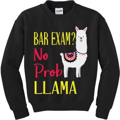 Bar Exam Passing The Passed No Prob Llama Lawyer Law Gift Kids Sweatshirt