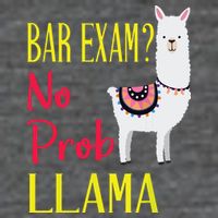 Bar Exam Passing The Passed No Prob Llama Lawyer Law Gift Backpack