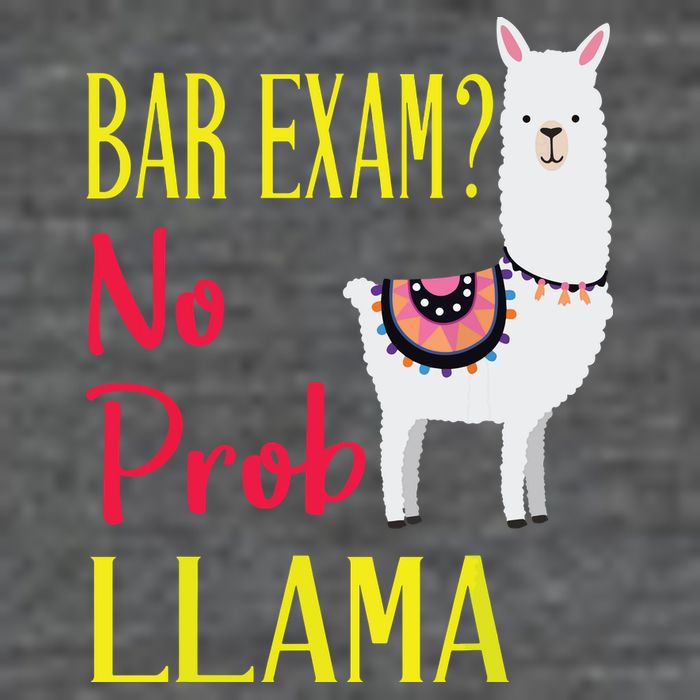 Bar Exam Passing The Passed No Prob Llama Lawyer Law Gift Backpack