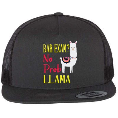 Bar Exam Passing The Passed No Prob Llama Lawyer Law Gift Flatbill Hat