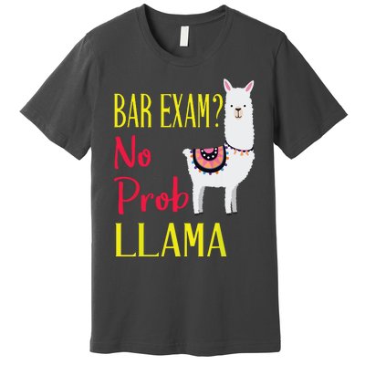 Bar Exam Passing The Passed No Prob Llama Lawyer Law Gift Premium T-Shirt