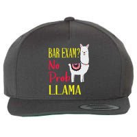 Bar Exam Passing The Passed No Prob Llama Lawyer Law Gift Wool Snapback Cap