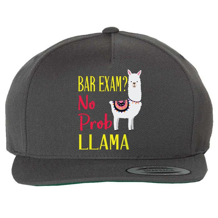 Bar Exam Passing The Passed No Prob Llama Lawyer Law Gift Wool Snapback Cap