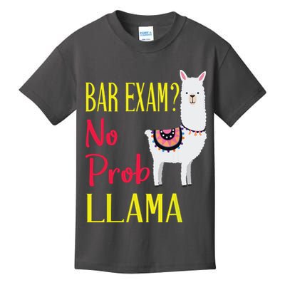 Bar Exam Passing The Passed No Prob Llama Lawyer Law Gift Kids T-Shirt