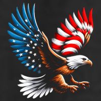 Bald Eagle & Patriotic American Flag 4th Of July Adult Drive Performance Visor
