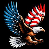 Bald Eagle & Patriotic American Flag 4th Of July Drawstring Bag