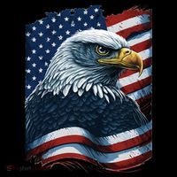 Bald Eagle Proud Patriotic American US Flag 4th Of July Womens T-Shirt