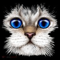 Blue Eyed Realistic Cat Face 7-Panel Snapback Hat