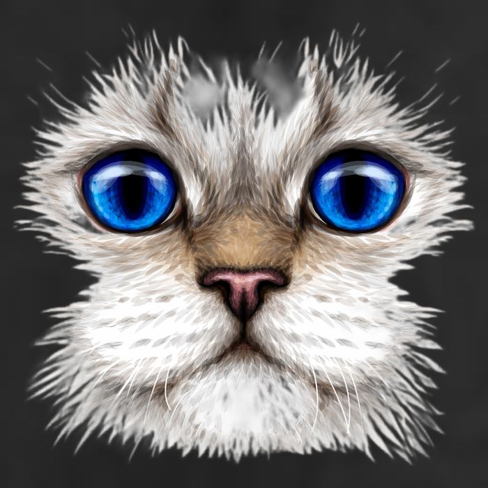 Blue Eyed Realistic Cat Face 25L Jumbo Tote