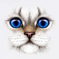 Blue Eyed Realistic Cat Face Sustainable Bucket Hat