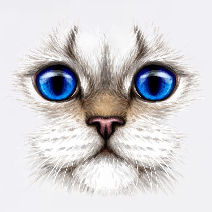 Blue Eyed Realistic Cat Face Sustainable Bucket Hat