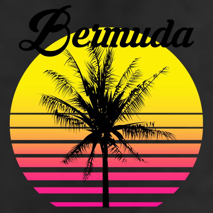 Bermuda Sunset Adult Drive Performance Visor