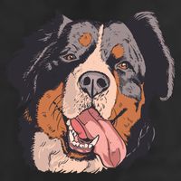 Bernese Mountain Dog 11oz C Handle Ceramic Mug
