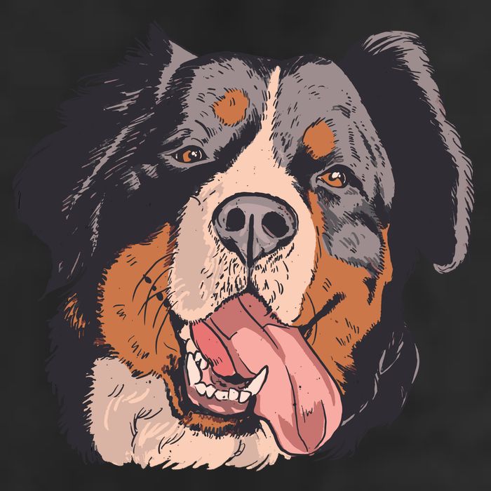 Bernese Mountain Dog 11oz C Handle Ceramic Mug