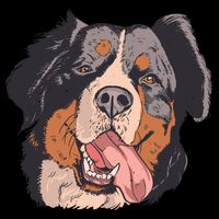 Bernese Mountain Dog 16 in Basic Backpack